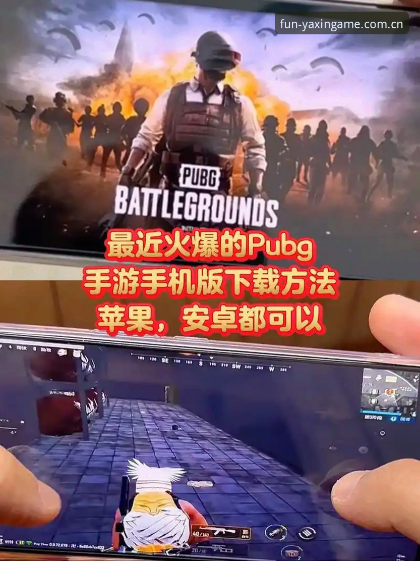 亚星游戏入口安卓版必备知识：资深玩家的实用注册与下载指南
